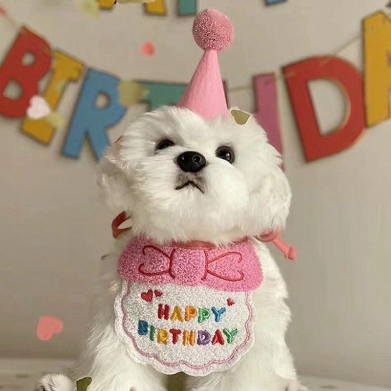 Cute Birthday Bib & Hat Set for Pets | Pet Birthday Accessories & Gifts