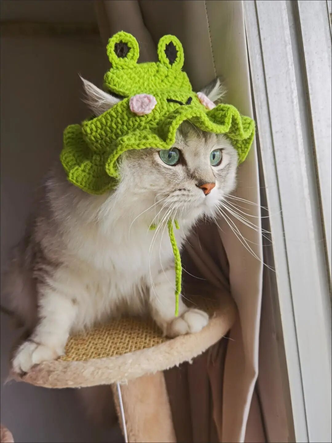 Adorable Pet Knitted Hats with Adjustable Straps | Shop Now!