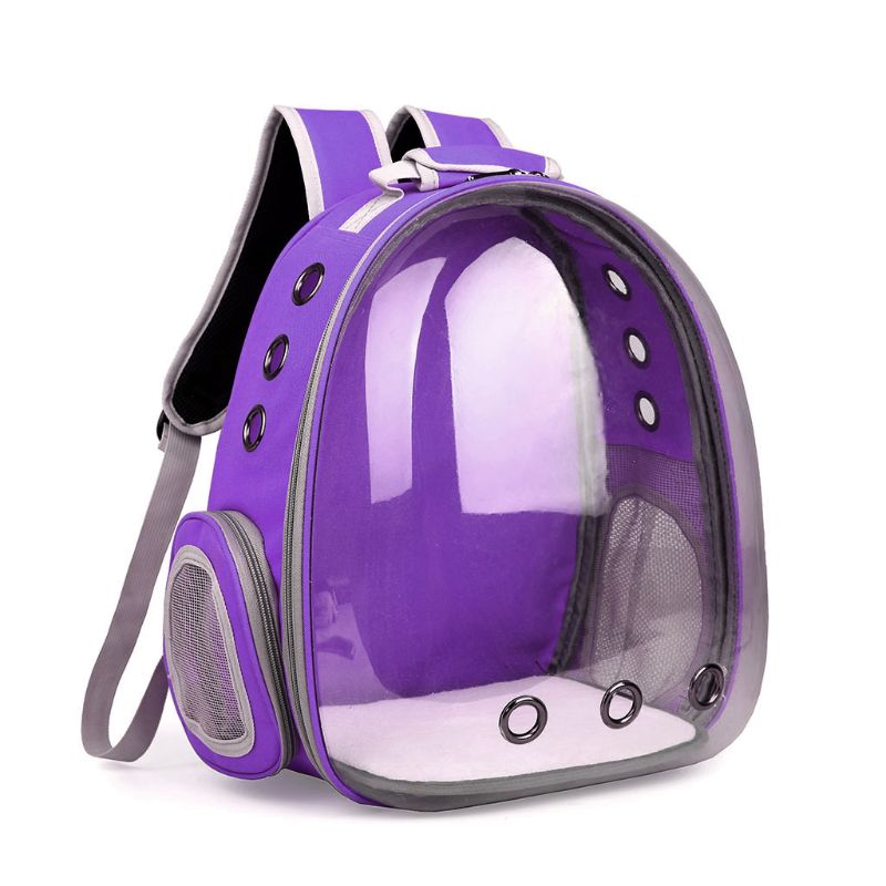 Explore the World Together with our Breathable Transparent Puppy Travel Backpack
