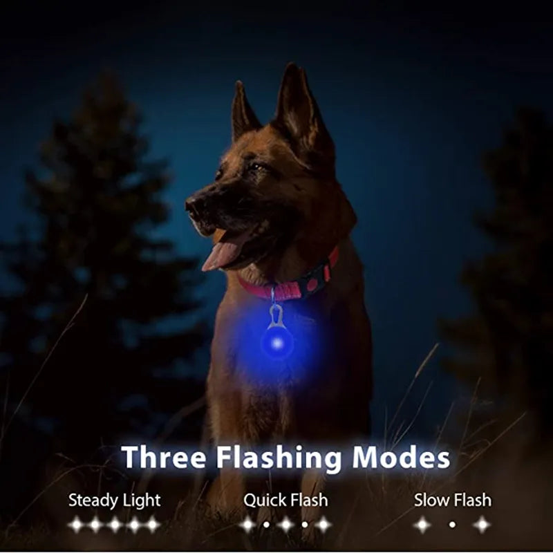 Illuminate with Safety: LED Dog Collar Pendant - Pet Luminous Collar for Nighttime Visibility