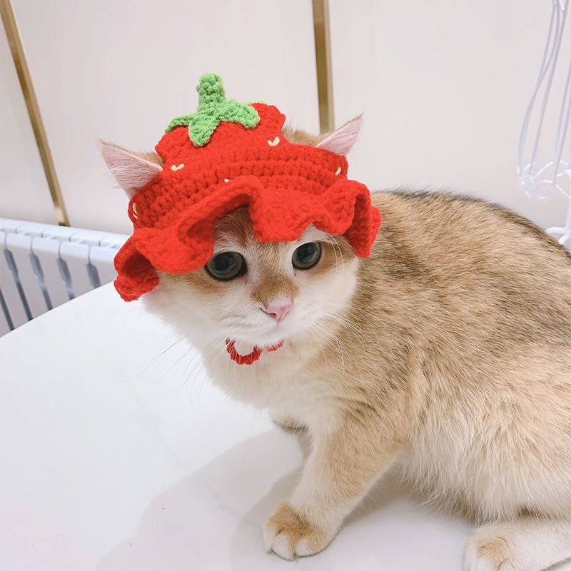 Adorable Pet Knitted Hats with Adjustable Straps | Shop Now!
