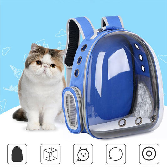 Explore the World Together with our Breathable Transparent Puppy Travel Backpack