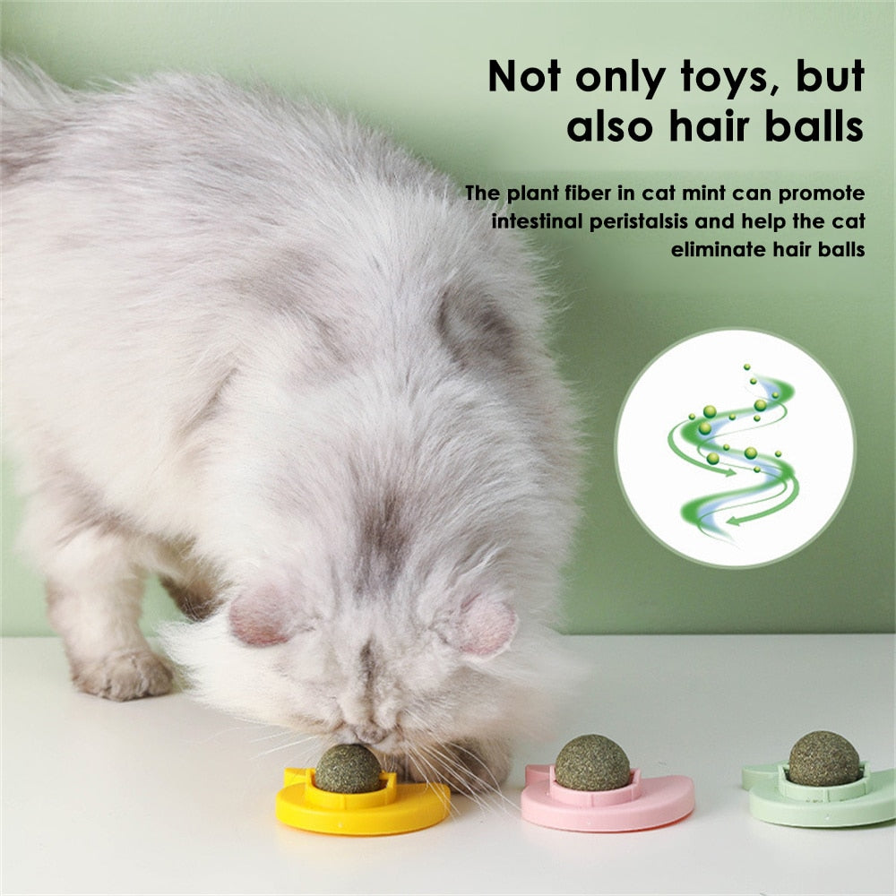 Catnip Mint Ball Rotation | Interactive Cat Toy with Catnip Mint Flavor
