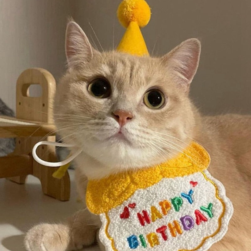 Cute Birthday Bib & Hat Set for Pets | Pet Birthday Accessories & Gifts