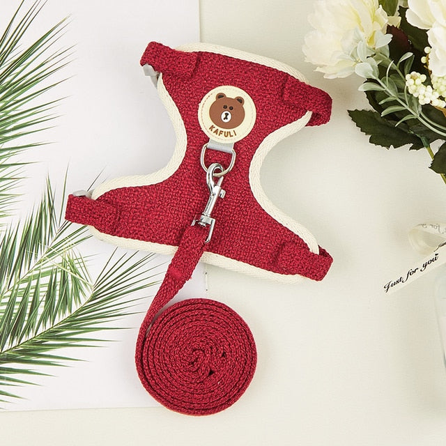 Cute Rabbit Harness and Leash Set | Pet Bunny Accessories | Shop Now