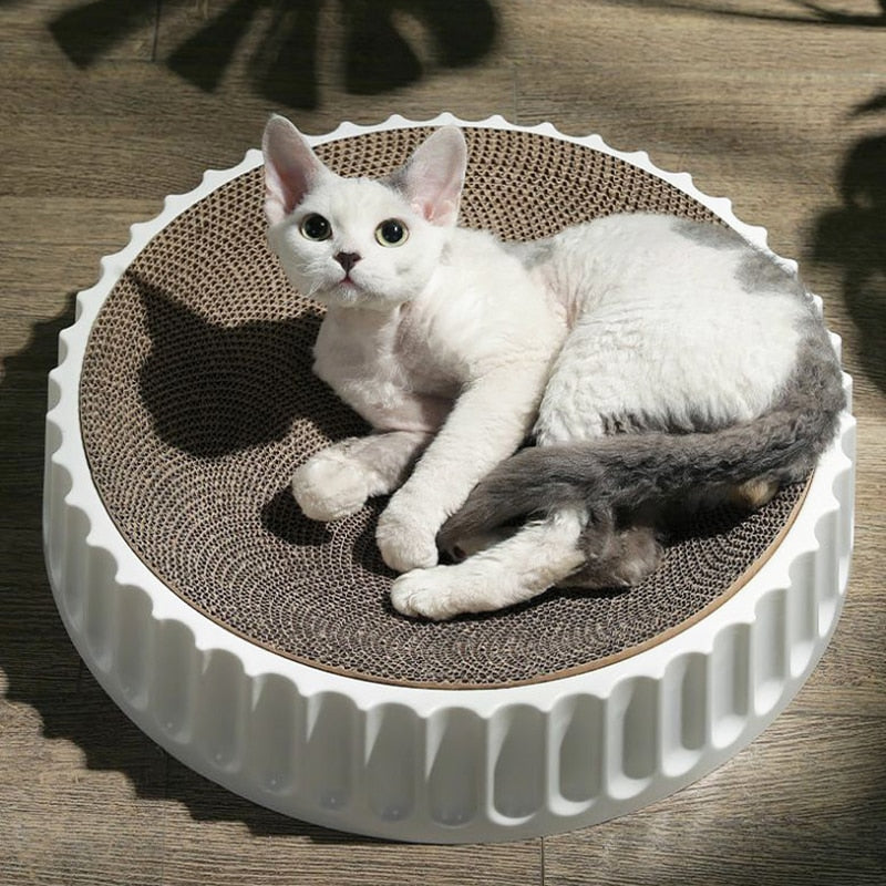 Durable Round Cat Scratcher Pad |Pet Store
