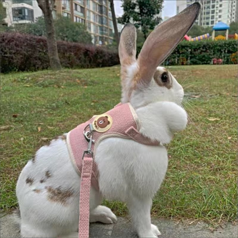 Cute Rabbit Harness and Leash Set | Pet Bunny Accessories | Shop Now