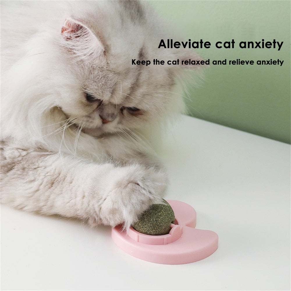 Catnip Mint Ball Rotation | Interactive Cat Toy with Catnip Mint Flavor