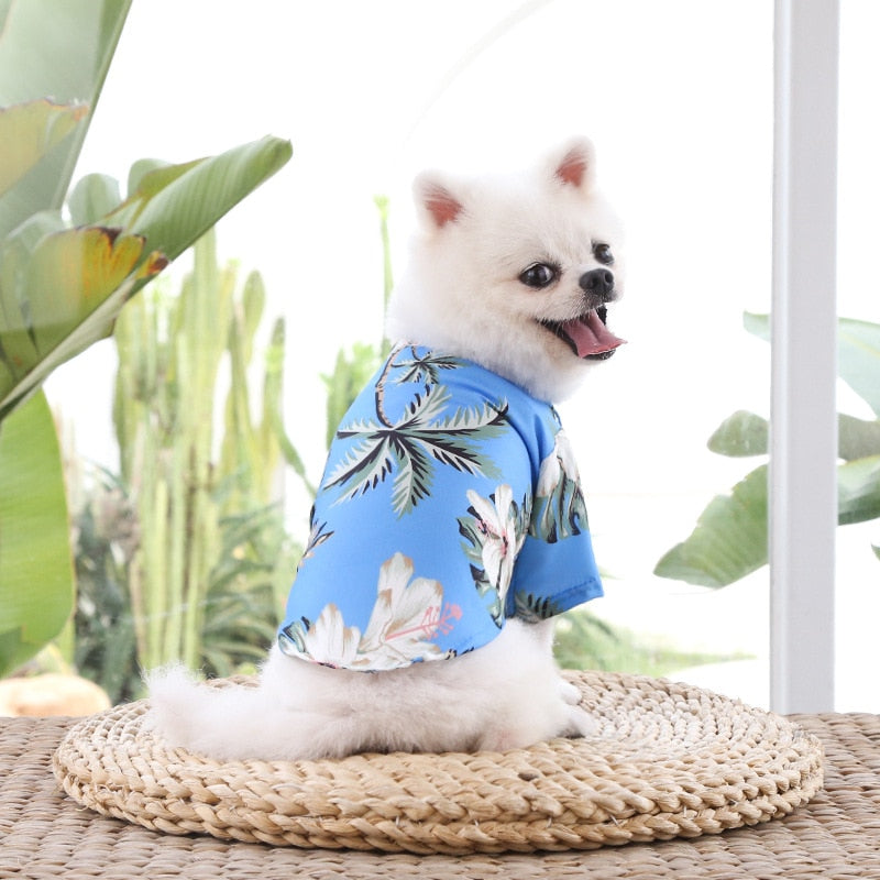 Shop Hawaiian Style Shirts for Dogs - Dress Your Pup in Tropical Fashion!