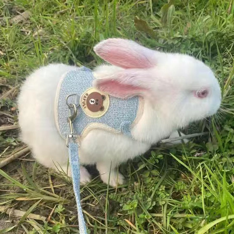 Cute Rabbit Harness and Leash Set | Pet Bunny Accessories | Shop Now